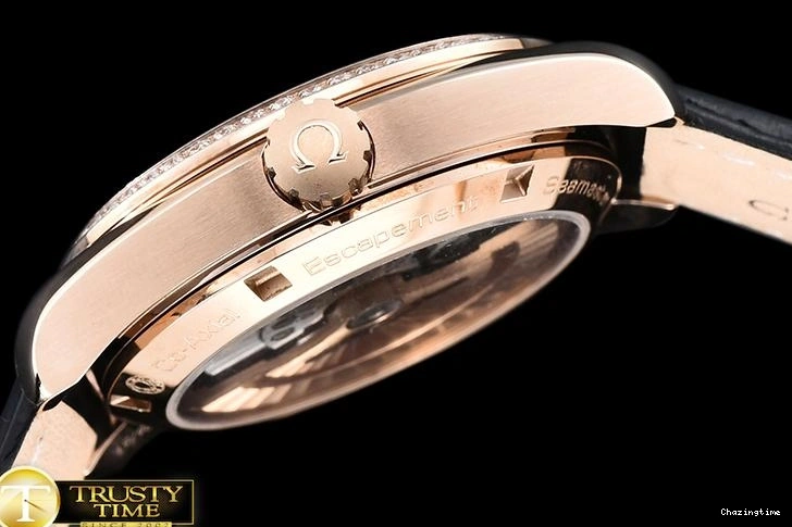 1102 OMG0464M – Aqua Terra 38mm